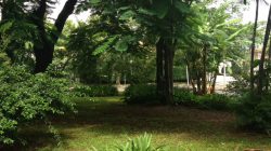 Processo de adoção de praças vira on-line, mas fica mais complicado