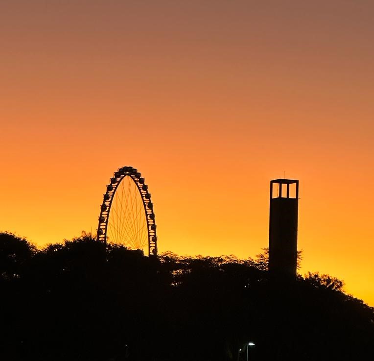 Enquete da SAAP mostra descontentamento de usuários com concessão do parque Villa-Lobos