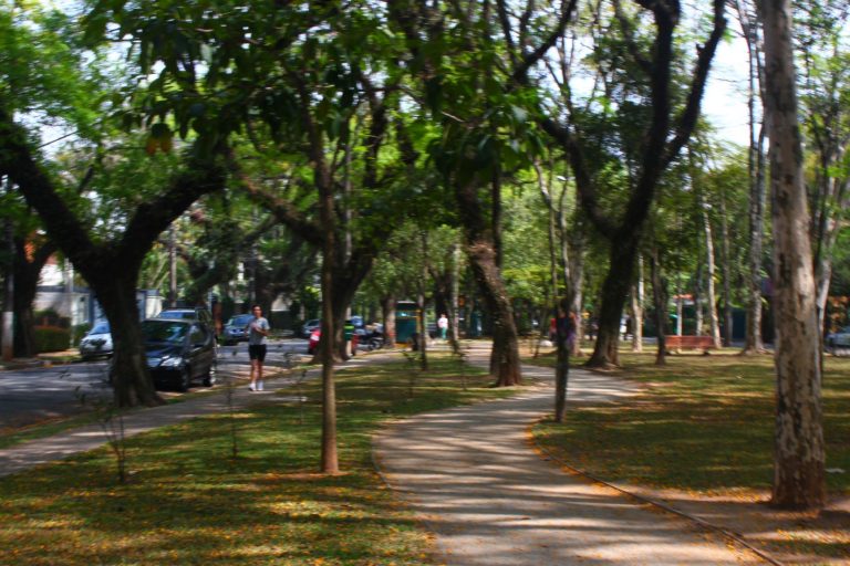 Em livro de memórias, ex-moradora reúne histórias vividas em Alto dos Pinheiros