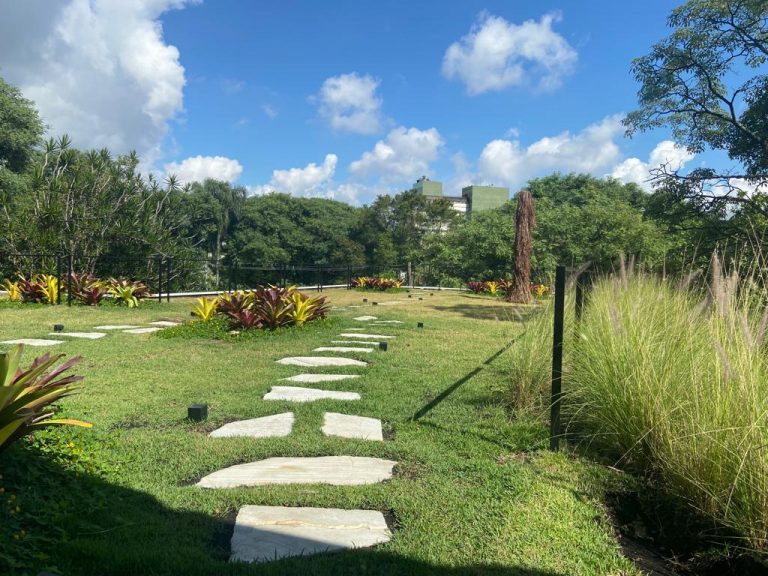 Casal transforma imóvel de Alto dos Pinheiros em modelo ecológico