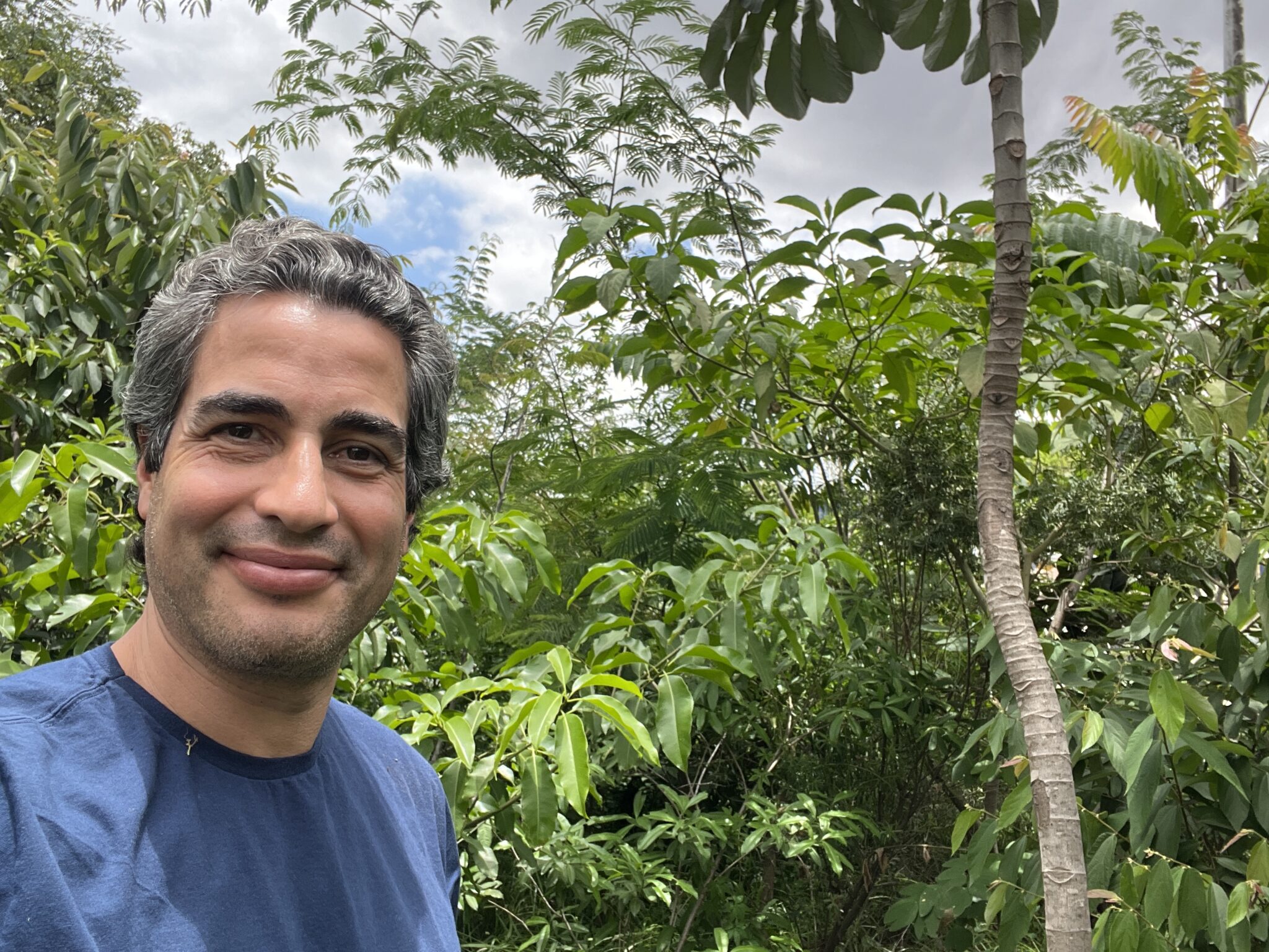 SAAP organiza cartilha e palestra com paisagista Ricardo Cardim para estimular plantio de árvores no bairro