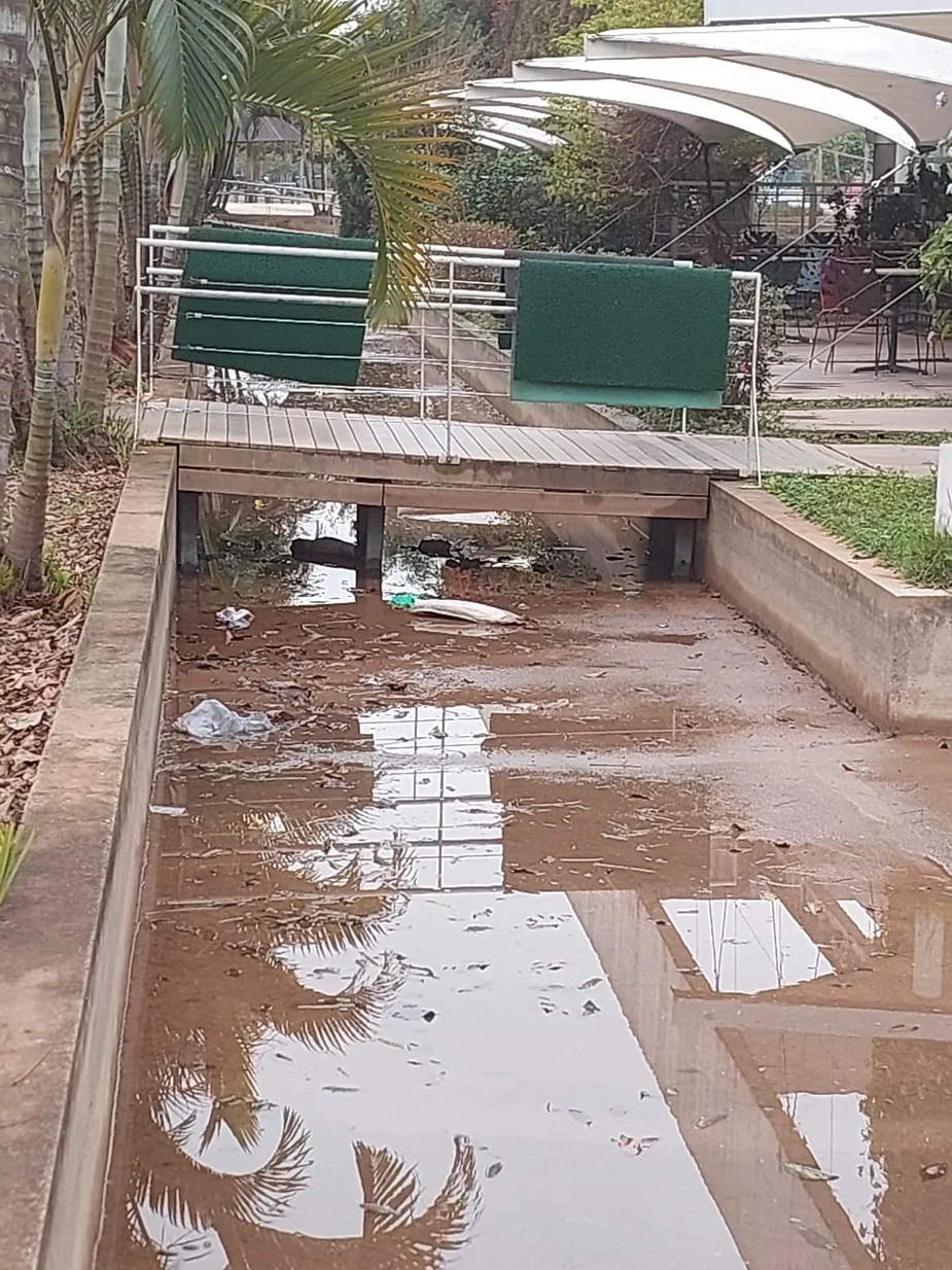 Em enquetes da SAAP, moradores criticam segurança e falta de melhorias no parque Villa-Lobos