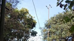 A pedido da SAAP, Prefeitura vai melhorar iluminação pública em Alto dos Pinheiros