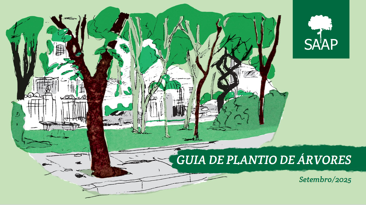 Por um bairro mais verde: Cartilha da SAAP ensina a escolher e plantar mudas de árvores