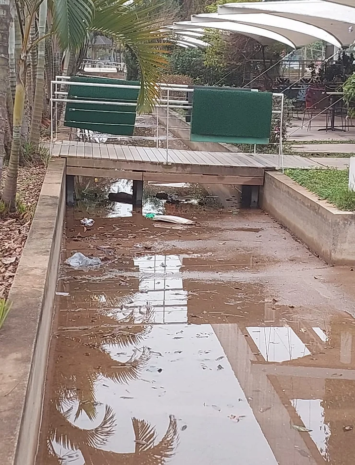 Villa-Lobos: concessão está destruindo um parque que levou 20 anos para ser construído