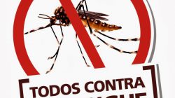 Mesmo no frio, dengue ainda preocupa. Alto dos Pinheiros já soma mais de mil casos
