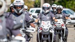 Polícia age mais, mas furtos sobem e roubos batem recorde na região