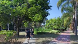 Mais de 38% da área de atuação da SAAP têm cobertura arbórea, aponta mapeamento