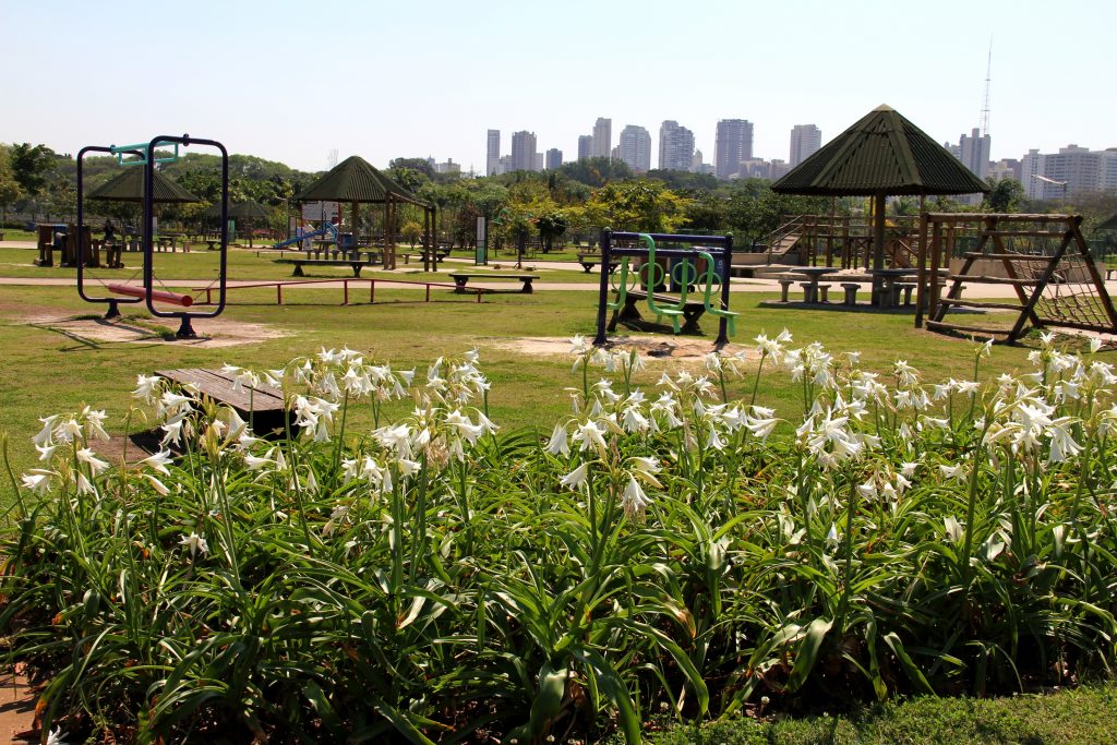 Agência reguladora vai fiscalizar gestão privada do parque Villa-Lobos