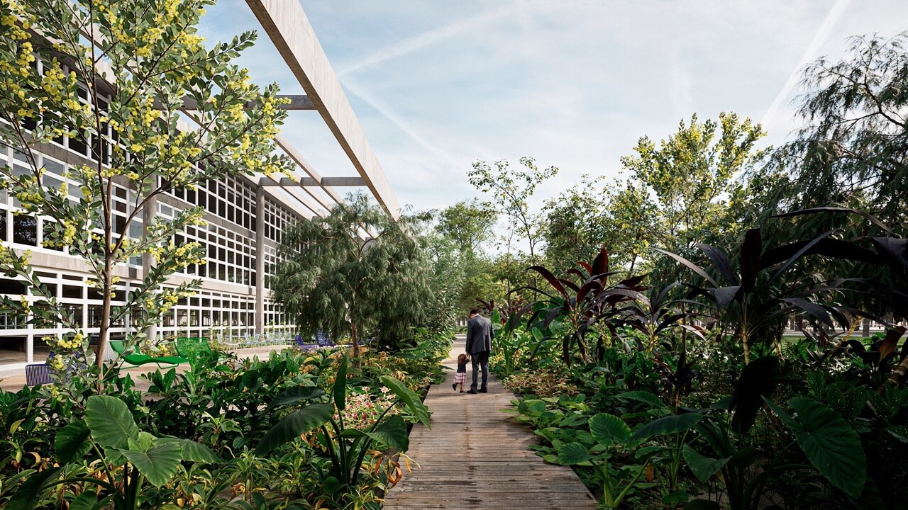 Projeto inédito cria reduto urbano de Mata Atlântica na Biblioteca Villa-Lobos