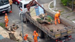 Após reuniões com a SAAP, Enel faz ações preventivas para tentar diminuir apagões no bairro