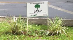Investimento da SAAP em praças e canteiros cresce 55%