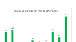 Em menos de 3 meses, dengue bate recorde anual em Alto dos Pinheiros; bairro já vive epidemia