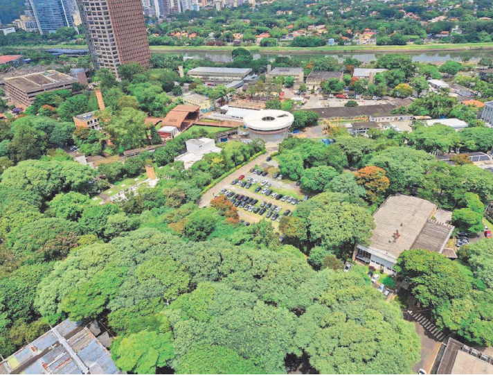 SAAP defende criar parque em área arborizada da Sabesp em Pinheiros